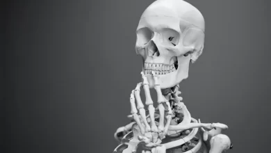 Facts about human bones