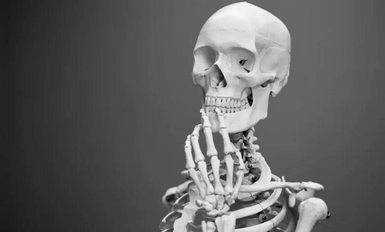 Facts about human bones