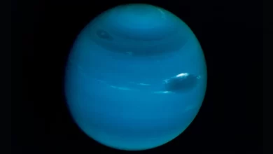 Interesting Facts about Neptune