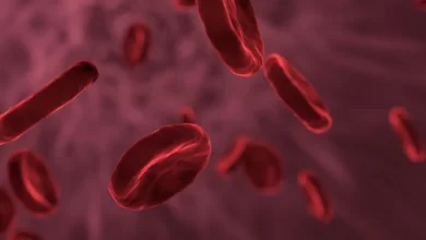 Facts about human blood