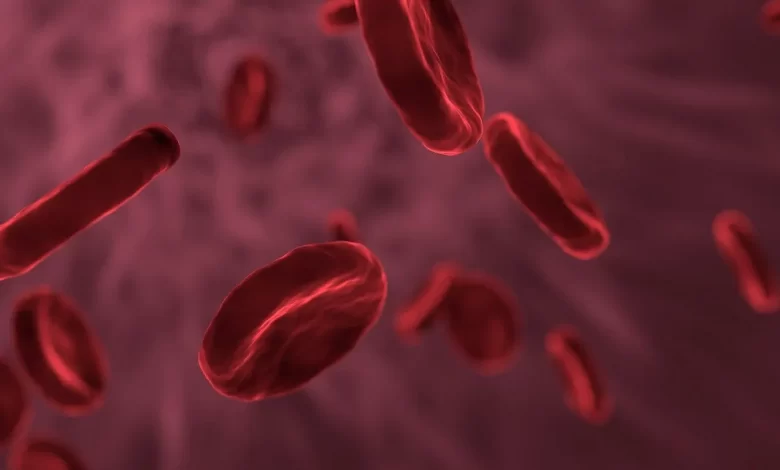 Facts about human blood