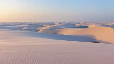 Interesting facts about deserts
