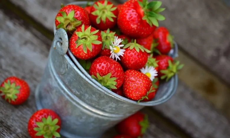 Facts about strawberries