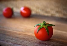 Facts about tomato