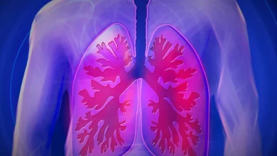 Facts about lung