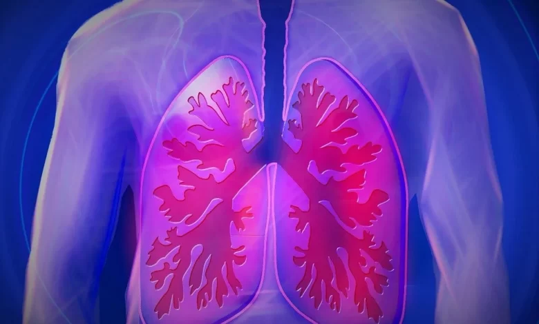 Facts about lung