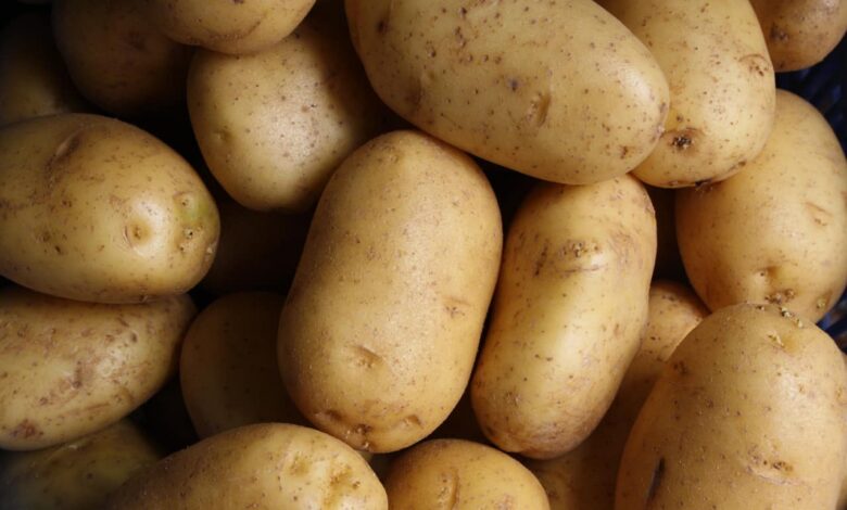 Interesting Potato Facts