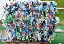 Plastic Bottles crushed