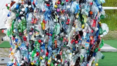 Plastic Bottles crushed